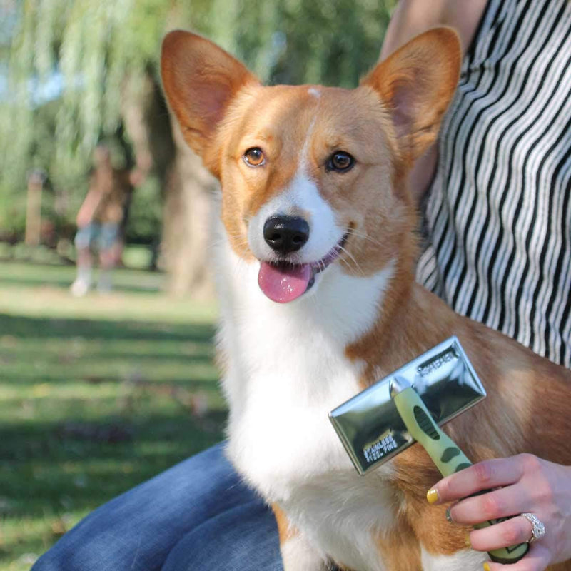 [Australia] - Safari Dog Soft Slicker Brush, Large 