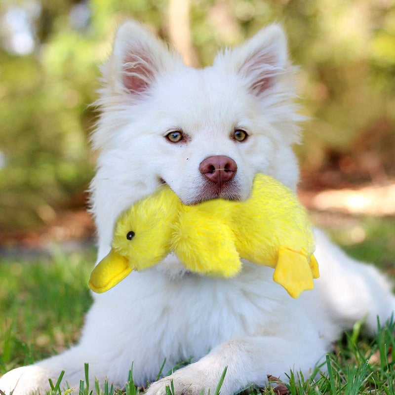 [Australia] - EXPAWLORER Pet Plush Squeaky Dog Toy Cute Duck Interactive Filler Chew Toys for Dogs Yellow 