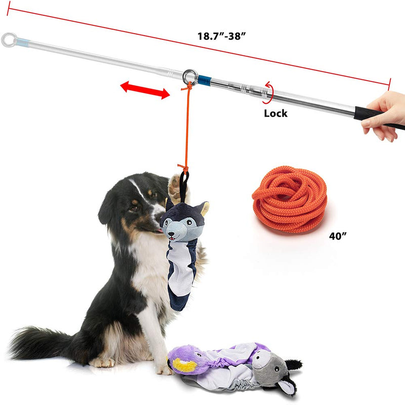 AWOOF Dog Flirt Pole Squeaky Dog Toy, Interactive Dog Toy Set for Boardem Extendable Teaser Soft Plush Toys for Dog Puppy Safe & Strong, DogTug Toys for Training - PawsPlanet Australia