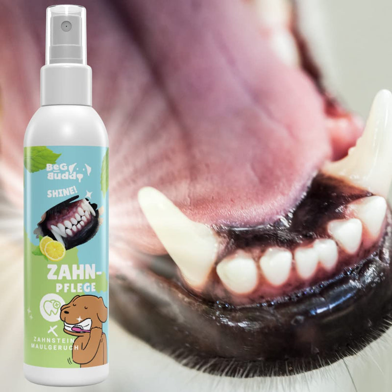 BeG Buddy Dental Spray for Dogs Tartar and Mouth Odor, Dog Dental Care Cat, [Tooth Spray for Teeth Cleaning] Fresh Breath - PawsPlanet Australia
