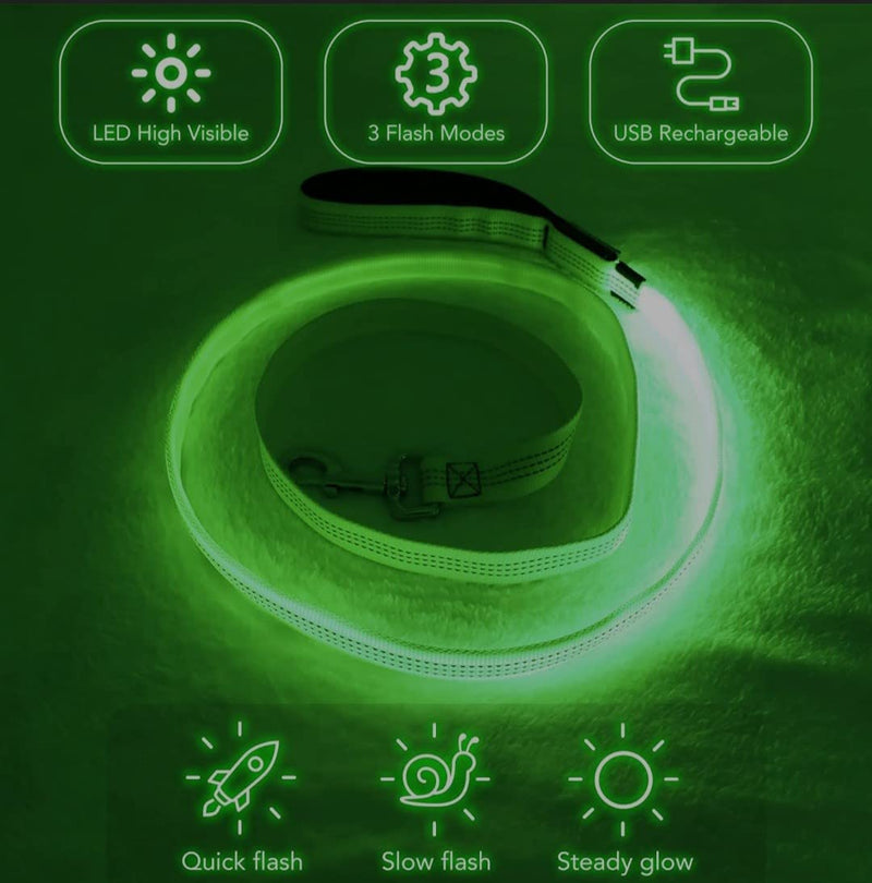 (Shared Products ) LED Dog Leash, Light Up Dog Leash, Micro USB Rechargeable, Waterproof, Nylon Webbing, Glow Safety Standard Dog Leash (Green with 2 Reflective Wires) - PawsPlanet Australia