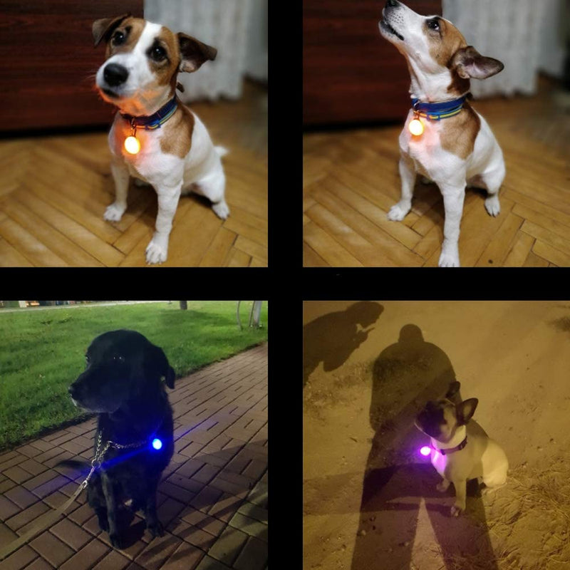 JZK 8 x Clip-on pet dog collar LED light + 8 x extra replacement batteries for pet, dogs, cats, kids, runners, hiking, climbing and camping - PawsPlanet Australia