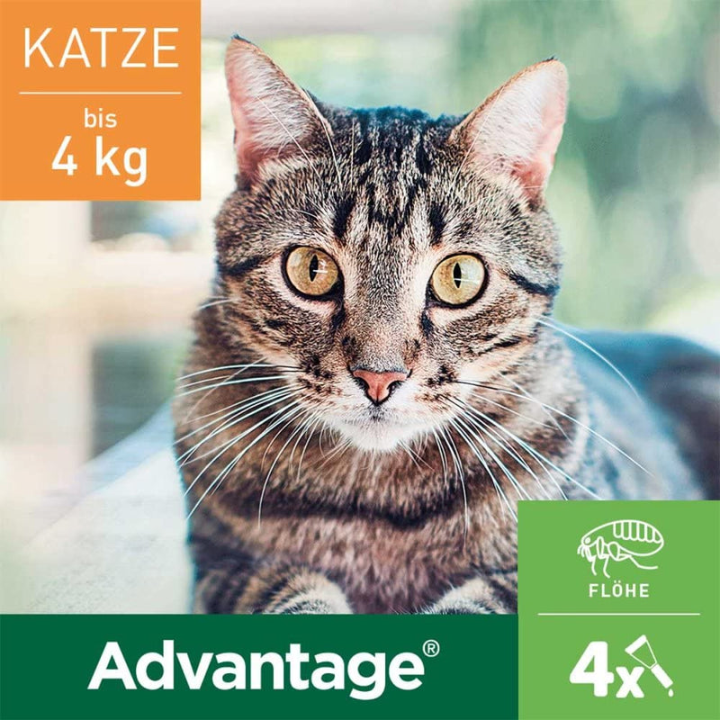 ADVANTAGE 40 mg solution for small cats/small ornamental rabbits 4X0.4 ml - PawsPlanet Australia