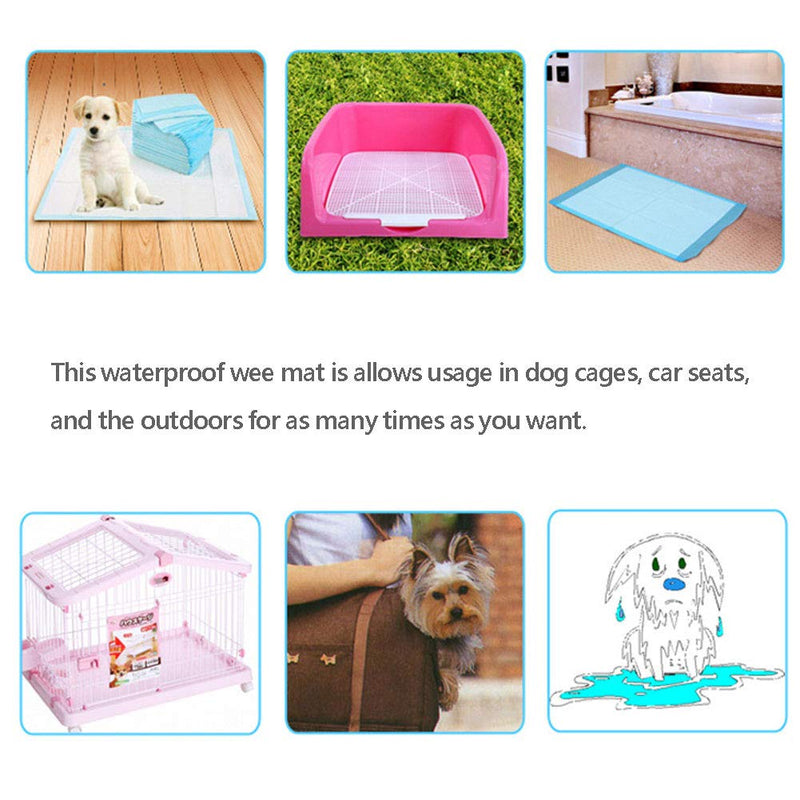 Pet Training Pads Multilayer Ultra Absorbent Pads Doggy Urine Pads for Car Seat, Dog Bed, Litter Box and Crate, Large Leak Proof Floor Protection Mat for Incontinent Puppies (60cm * 60cm - 40PACK) 60cm * 60cm - 40PACK - PawsPlanet Australia