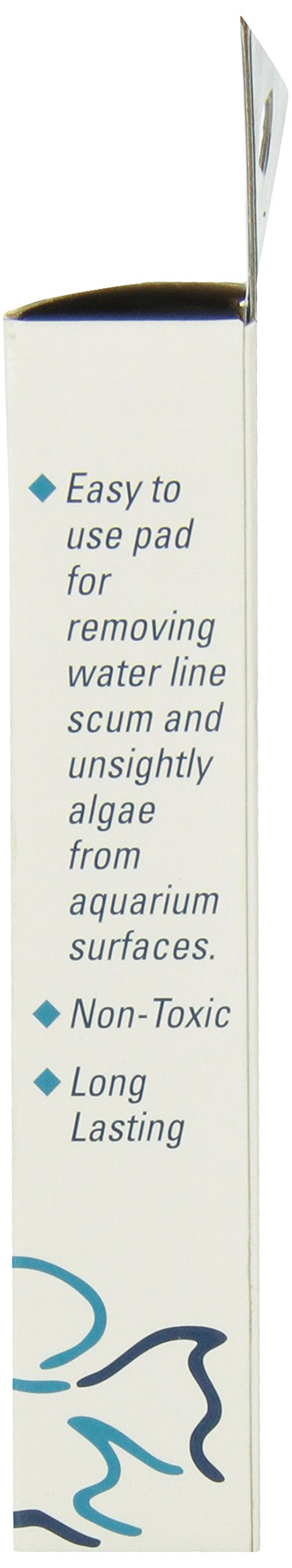 Lifegard Aquatics 4-Inch by 6-Inch Blue Algae Pad - PawsPlanet Australia