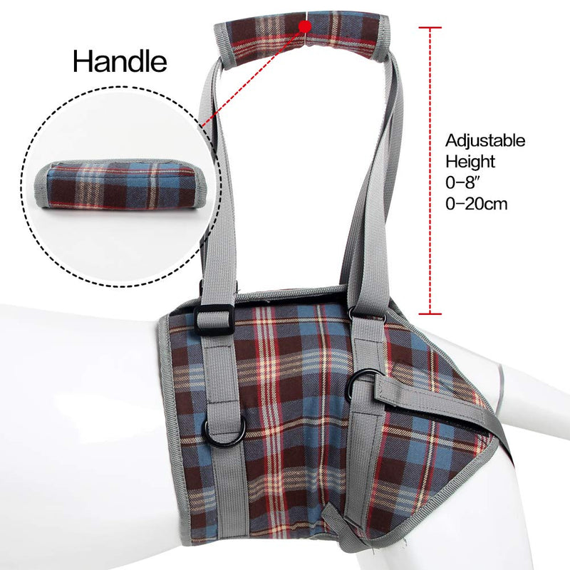 [Australia] - Heywean Dog Lift Harness with Handle Support Injured Back Legs Adjustable Pet Recovery Assistive Strap S Blue 