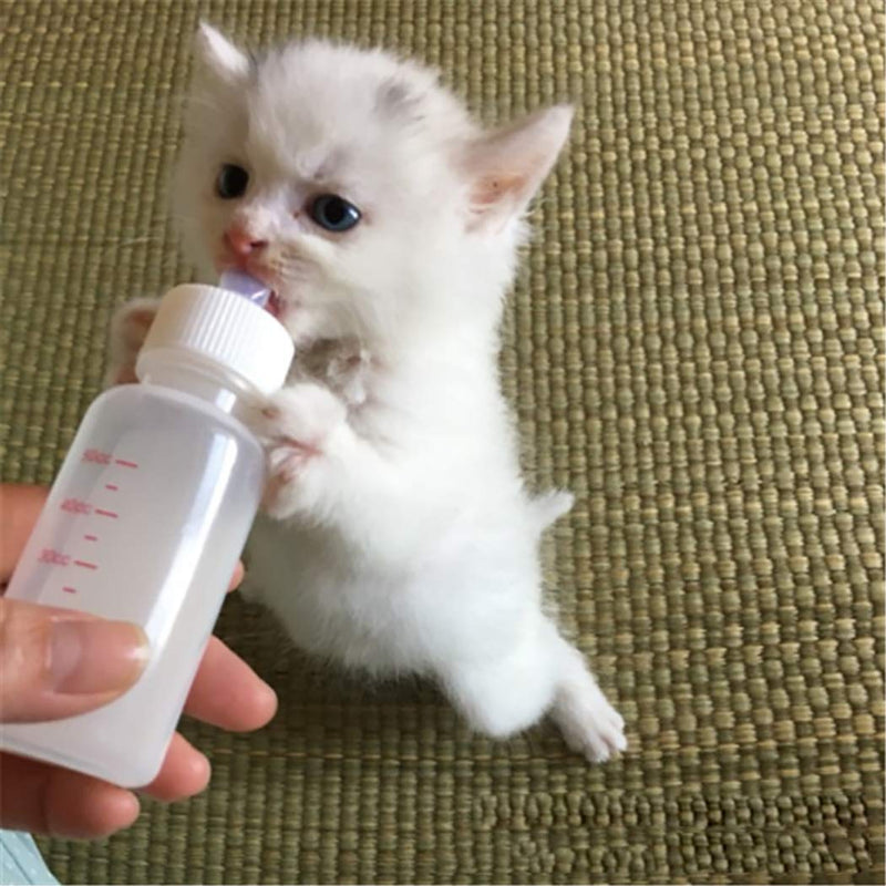DoubleWood Pet Nursing Bottle Kits Nursing Bottle Kits Replacement Nipple Cat Feeding Bottle for Newborn Kittens, Puppies, Rabbits, Small Animals - PawsPlanet Australia