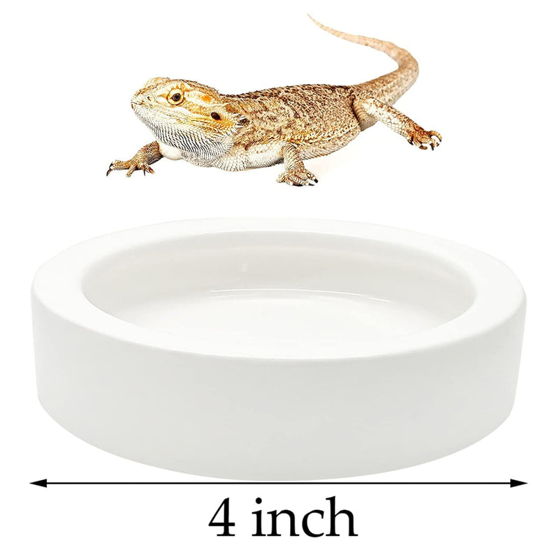 2 Pcs Reptile Food Bowl Ceramic Water Feeder Bowls Anti- Escape Mini Reptile Feeder for Lizard, Gecko etc, Round - PawsPlanet Australia