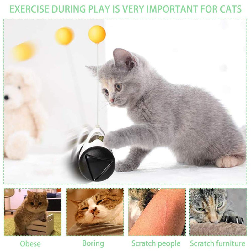 [Australia] - WOSTEE Cat Toys Kitten Toys for Indoor Cats, Interactive Catnip Toys with 180 Degree Self Rotating Ball Toy, Balance Swing Toy for Cat Kitty Exercise Chasing Puzzle Toys 