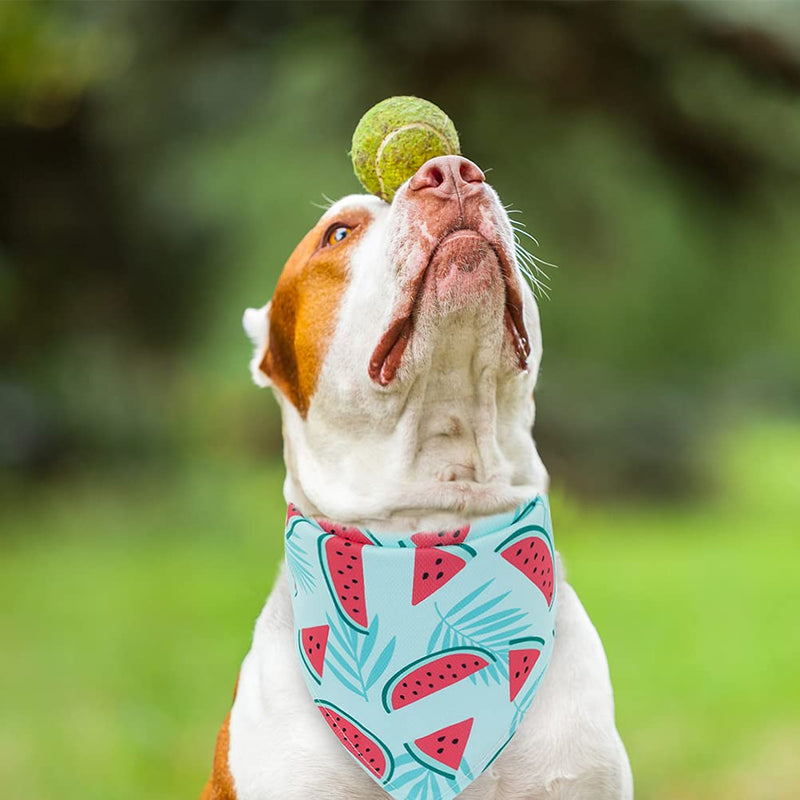 EXPAWLORER Dog Cooling Bandana Set - 4 Pack Summer Triangle Scarfs Bibs with Cute Fruit Patterns for Small Medium Large Dogs - PawsPlanet Australia