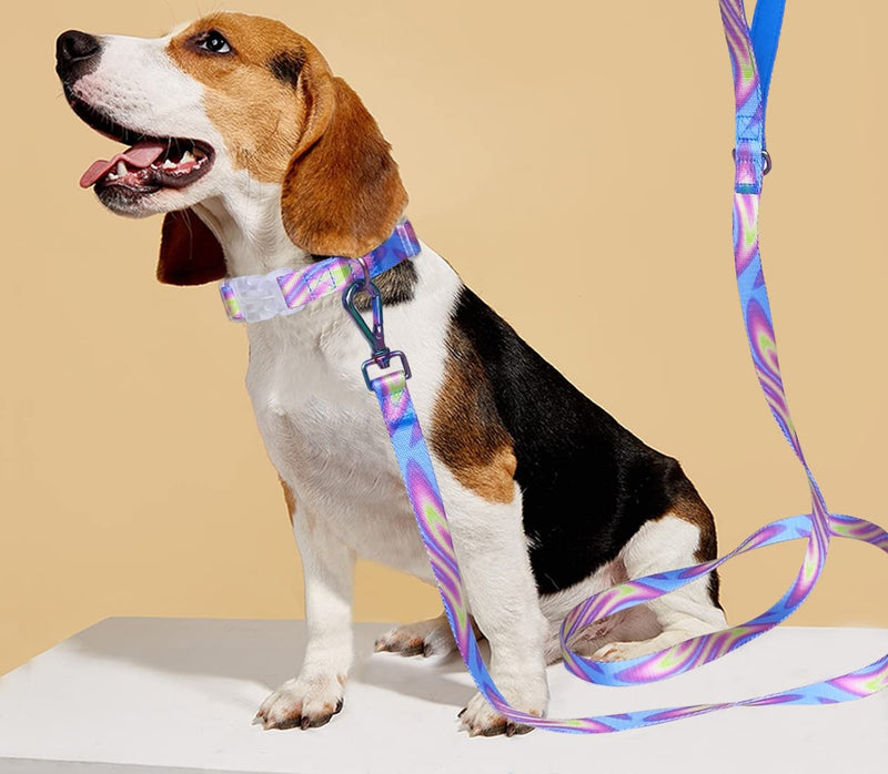 JDIDNEID Durable Nylon Dog Leash, 6FT Tie dye Dog Leash with Heavy Duty Holographic Laser Hardware Comfortable Padded Handle Leash for Small Medium Large and Ex-Large Dogs S: 6ft x 3/5" pink purple - PawsPlanet Australia