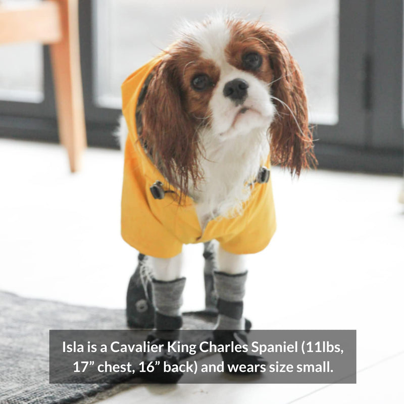 DJANGO Highland Dog Jacket and Raincoat - Water-Repellent, Windproof, and Harness-Friendly Winter Dog Coat and Stylish Dog Raincoat with Adjustable Drawstrings, Optional Hood, Premium Gunmetal Hardware, and Back Pocket X-Small Dandelion Yellow - PawsPlanet Australia