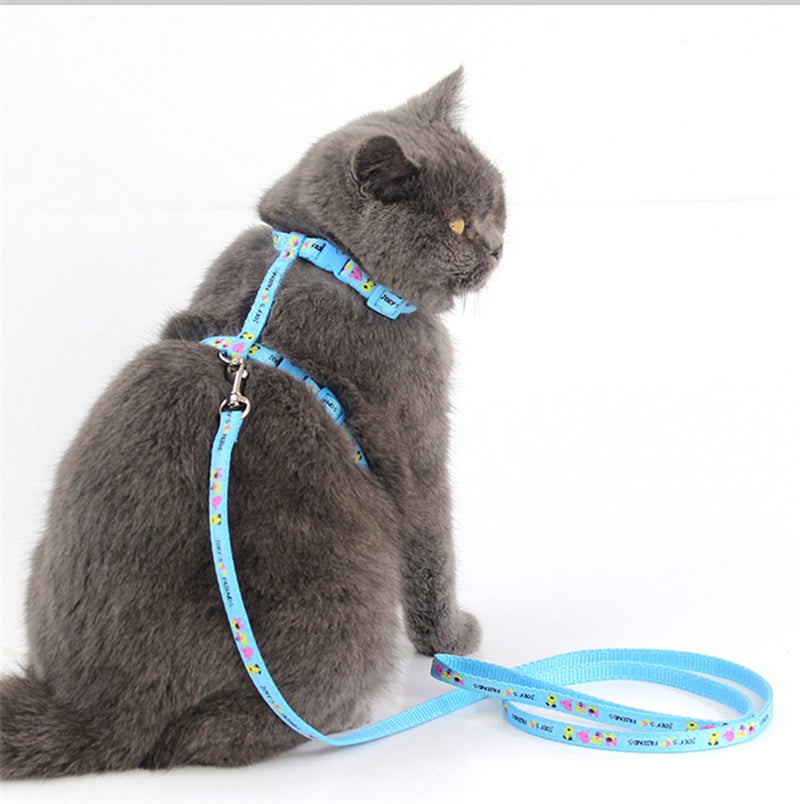 [Australia] - WORDERFUL Small Cat Harness and Leash Set Adjustable Pet Harness Vest 2 Pack for Small Animal Pattern Random 