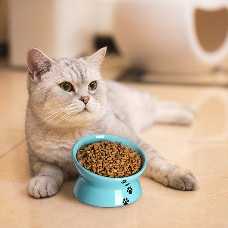 Y YHY Raised Cat Food and Water Bowl Set, Tilted Elevated Cat Food Bowls No Spill, Ceramic Cat Food Feeder Bowl Collection, Pet Bowl for Flat-Faced Cats and Small Dogs, Set of 2, Blue - PawsPlanet Australia