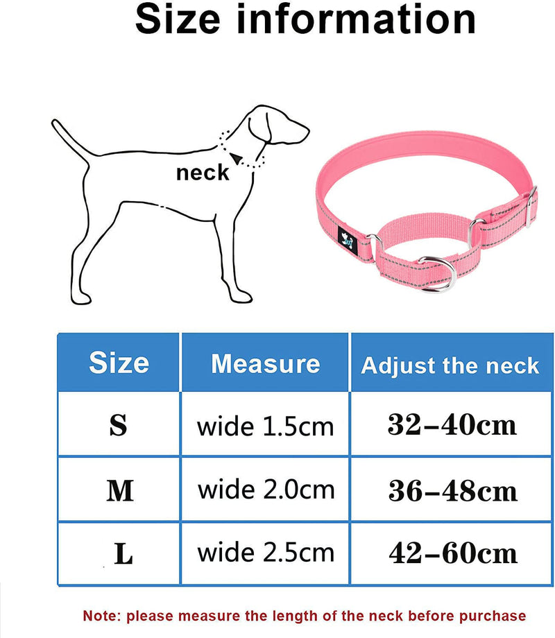 haoyueer Adjustable Martingale Safety Training Dog Collar Soft Neoprene Padded Breathable Nylon Pet Collar for Small Medium Large Dogs (S, Grey) S - PawsPlanet Australia