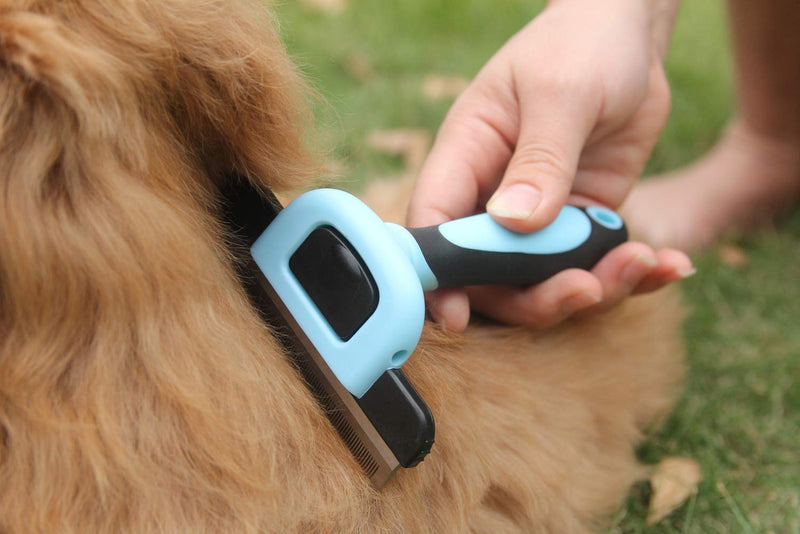Maxpower Planet Pet Grooming Brush for Dogs and Cats Effectively Reduces Shedding by Up to 95% Blue - PawsPlanet Australia