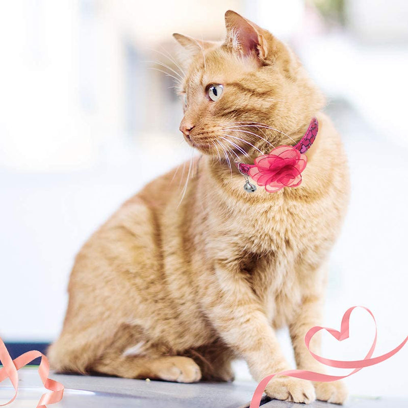 Spring Cat Breakaway Collar with Removable Flower and Bell - 2 Pack Safety Kitten Collars, Cute Pink Heart Rose Design Pink & Rose - PawsPlanet Australia