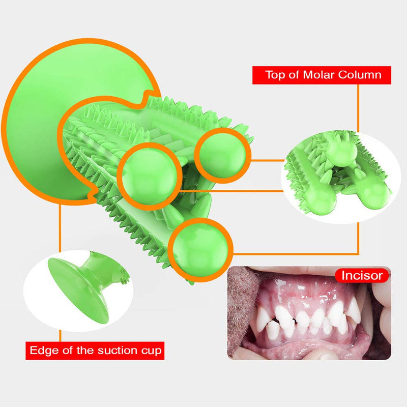 CEESC Dog Toothbrush Chew Toys Dog Teeth Cleaning Stick,Puppy Brushing Dental Oral Care for Small Medium Large Dogs (Green) Green - PawsPlanet Australia