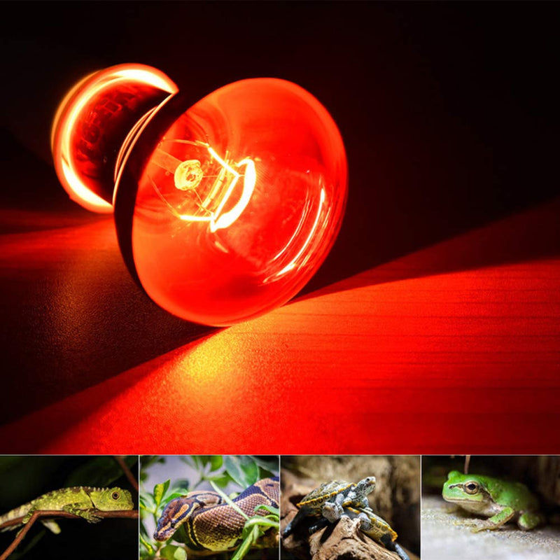 [Australia] - MD Lighting 25w Infrared Heating Lamp/Light/Bulb 2 Pack, 110v E27 Basking Spot Light Bulbs for Reptile and Amphibian, as Bearded Dragons, Turtles, Ball Pythons, Red 