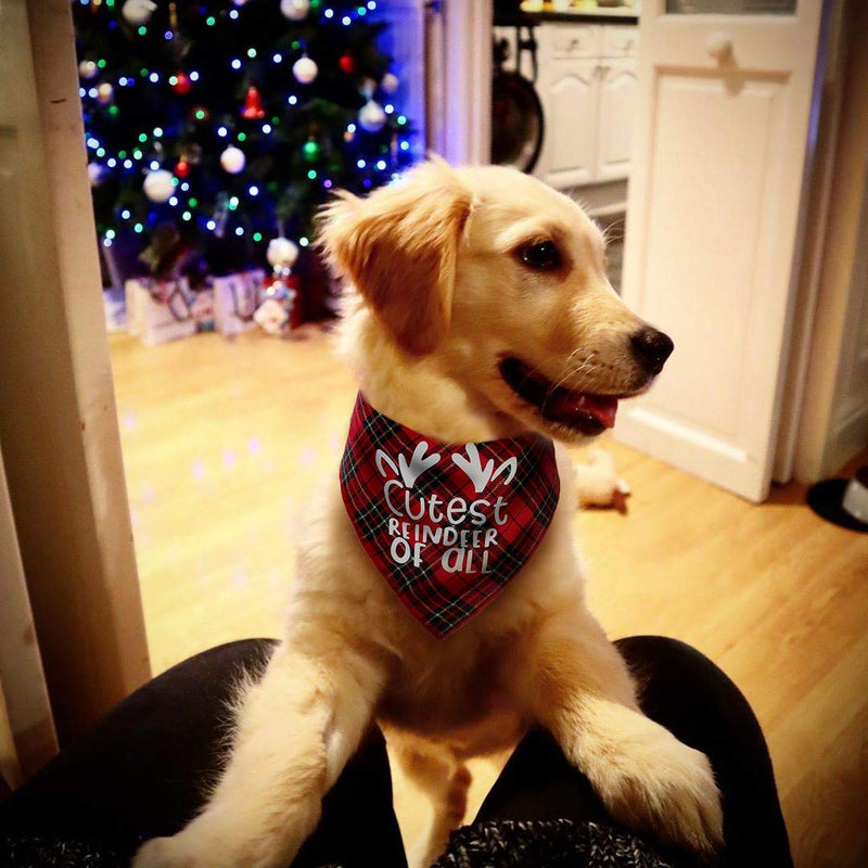 [Australia] - JPB Christmas Dog Bandana with Designer Painting for Small to Medium Sized Dogs 