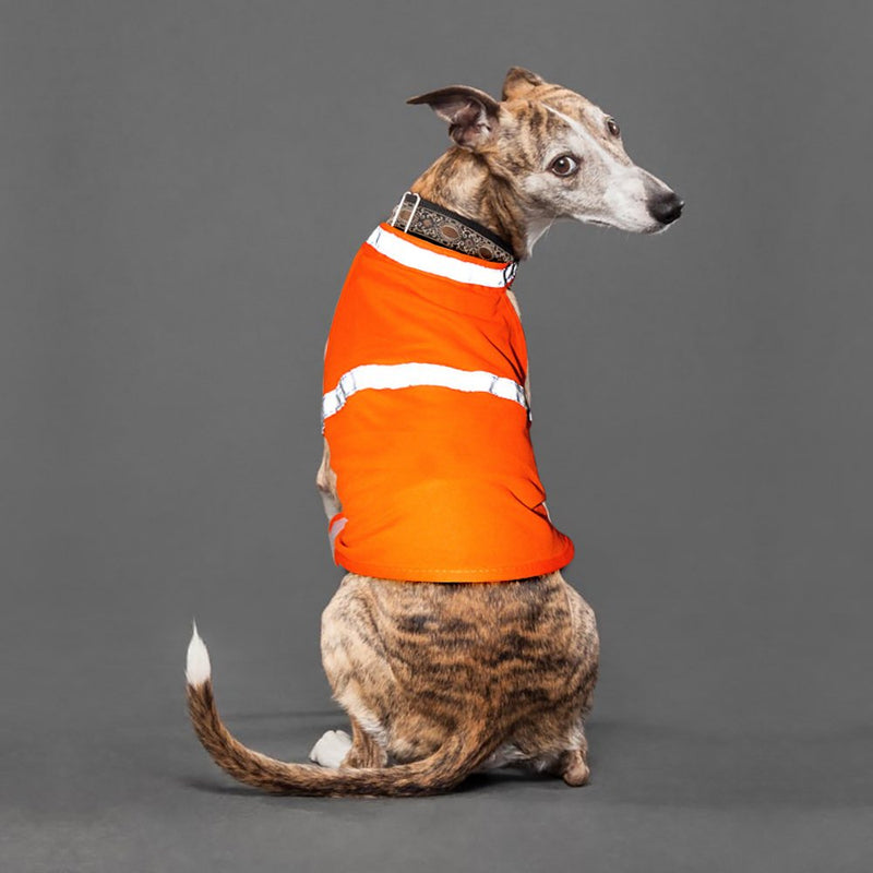 [Australia] - VIZPET Reflective Dog Vest with Lightweight Adjustable Strap & Comfortable Material Ideal to Keep Dogs Safe While Walking & Hunting Large orange 