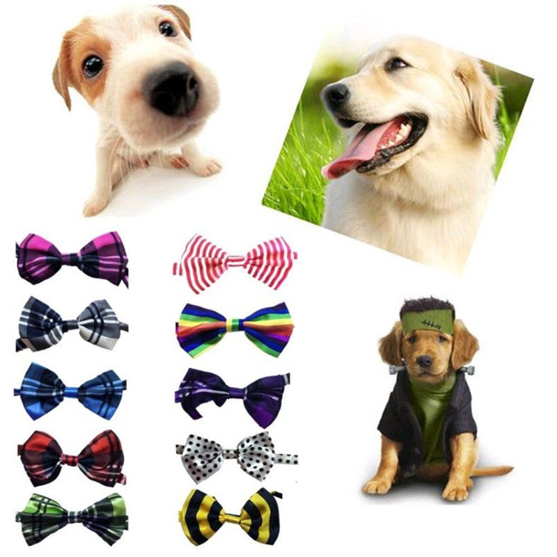 [Australia] - Lebbeen 10pcs/Pack,Pet Dog Bow Tie Collar,Adjustable Pet Cat Dog Bow Ties Bowties,Grooming Accessories 