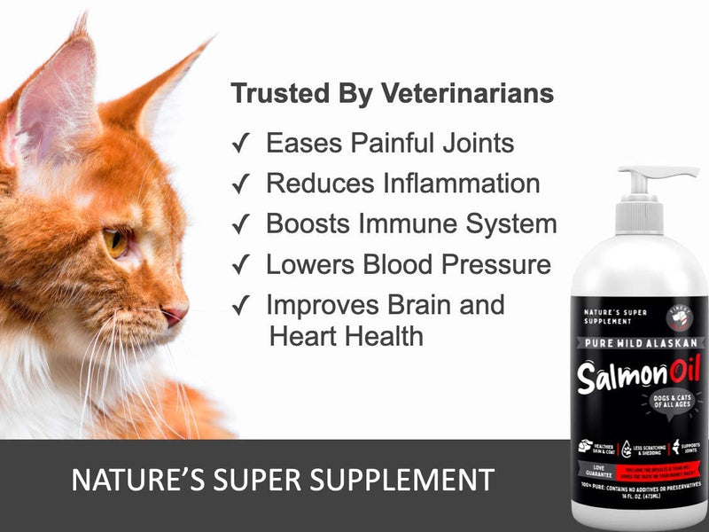 Pure Wild Alaskan Salmon Oil for Dogs & Cats - Relieves Scratching & Joint Pain, Improves Skin, Coat, Immune & Heart Health. All Natural Omega 3 Liquid Food Supplement for Pets. EPA + DHA Fatty Acids 16 Ounces - PawsPlanet Australia