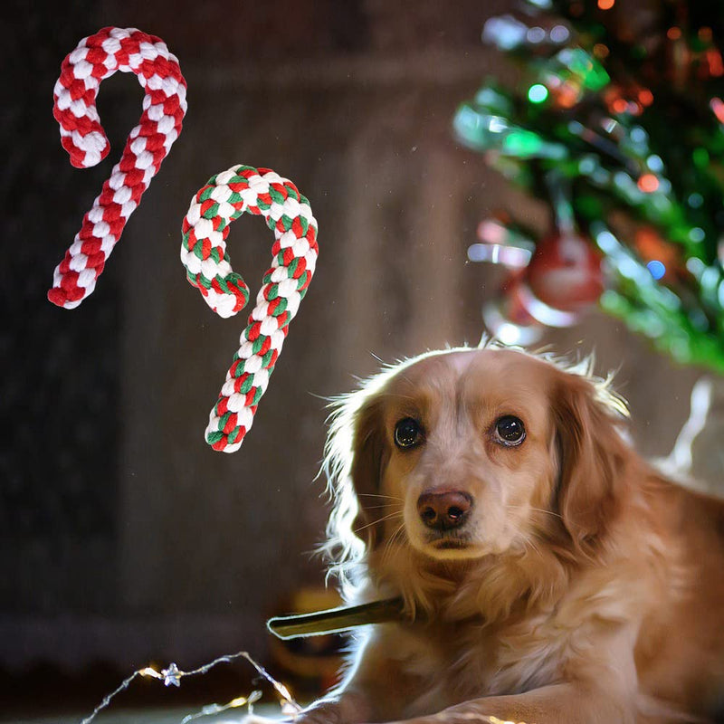 Lircentoud Pack of 3 dog toy rope, dog chew toy Christmas, dog toy Christmas, dog chew toy rope, pet toy Christmas, candy cane toy pet 3 pieces, style 1 - PawsPlanet Australia