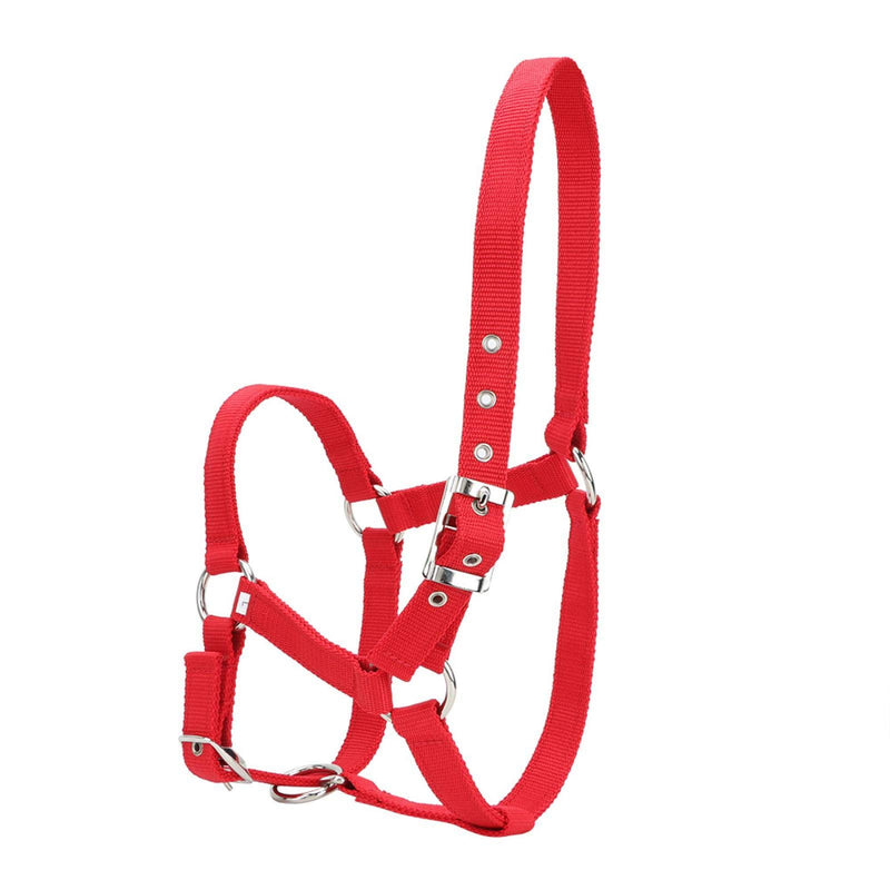 Horse Bridle, Adjustable Red Horse Riding Halter, PP Replacement for Restraint Horse Control Horse - PawsPlanet Australia