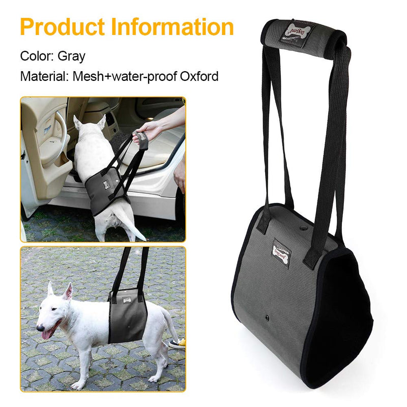 Minishark Dog Lifting Harness, Dog Lift Support and Rehab Harness for Dogs with Weak Rear Legs - PawsPlanet Australia