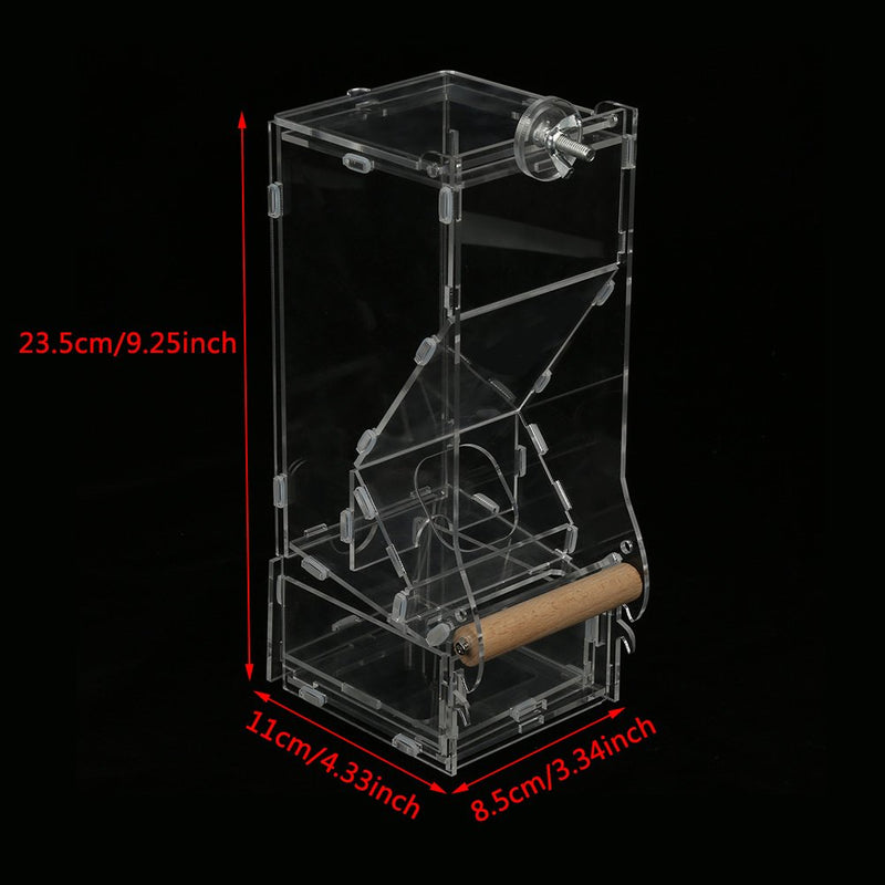 [Australia] - Yutiny Bird Seed Feeder Acrylic Parrots Birds Seeds Feeding Station Automatic Birds Foraging Systems Bird Food Feeder #1 