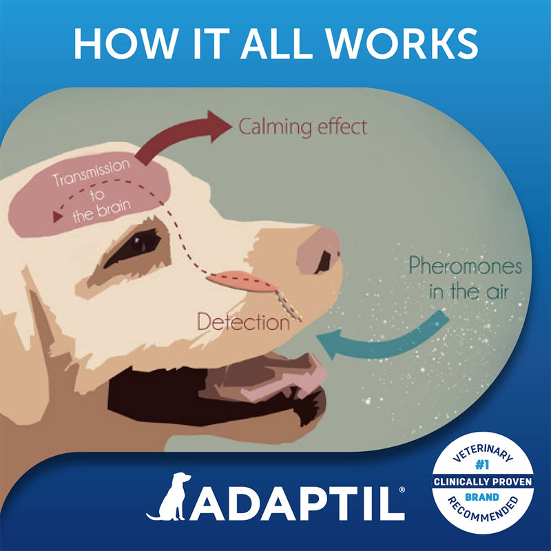 ADAPTIL Calm 30 Day Refill x 3, Helps Dog Cope with Behavioural Issues and Life Challenges 48ml x 3 & Calm 30 day Refill, helps dog cope with behavioural issues and life challenges - 48ml + Calm 30 day Refill, 48ml - PawsPlanet Australia