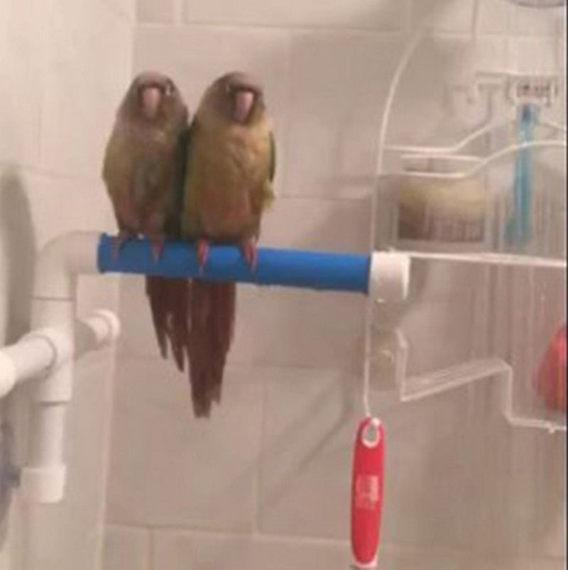 [Australia] - Folding Parrot Bath Shower Standing Platform Rack Parrot Standing Shower Perch Parakeet Bird Toy 