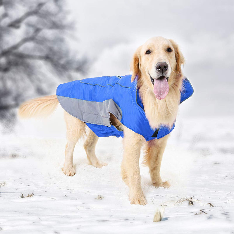 [Australia] - Dog Winter Jacket, Windproof Waterproof Outdoor Sports Pet Coat for Cold Weather, Dog Warm Vest Clothes with Reflective, for Small Medium Large Dogs XS(Chest Girth 14-17") Blue 