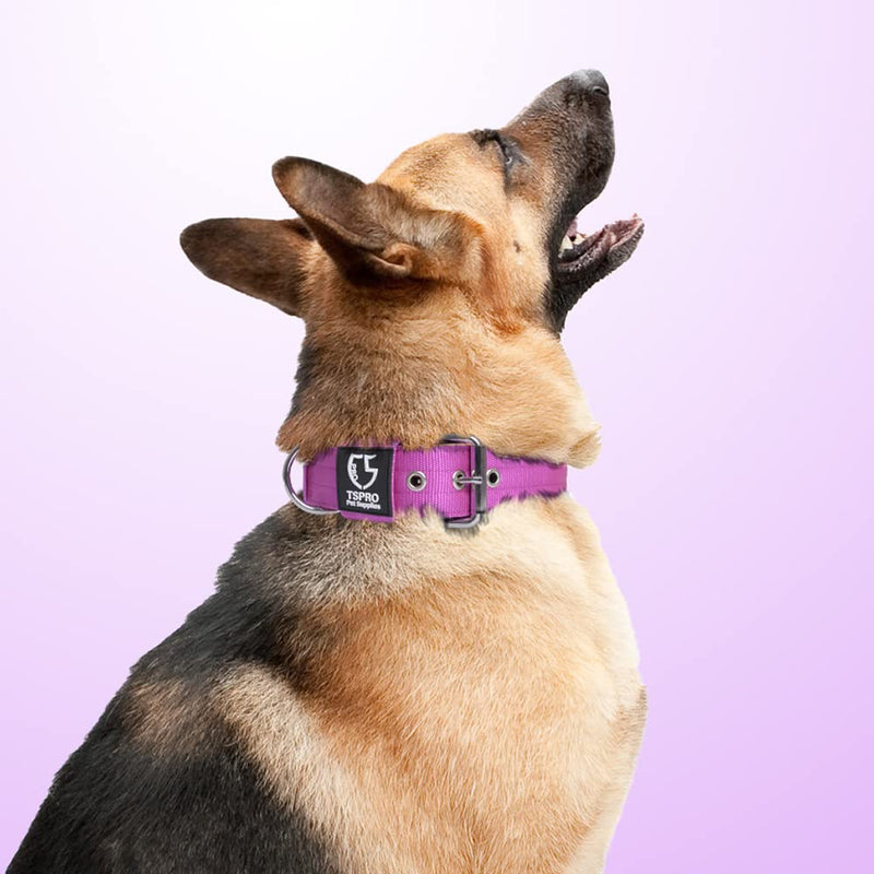 TSPRO Tactical Dog Collar, 3.8cm Wide, Military Grade, Strong Dog Collar, Thick Dog Collar, Heavy Duty Metal Buckle, Dog Collar Purple-M(Purple-M) Size M-(adjustable 44.5-52cm) - PawsPlanet Australia