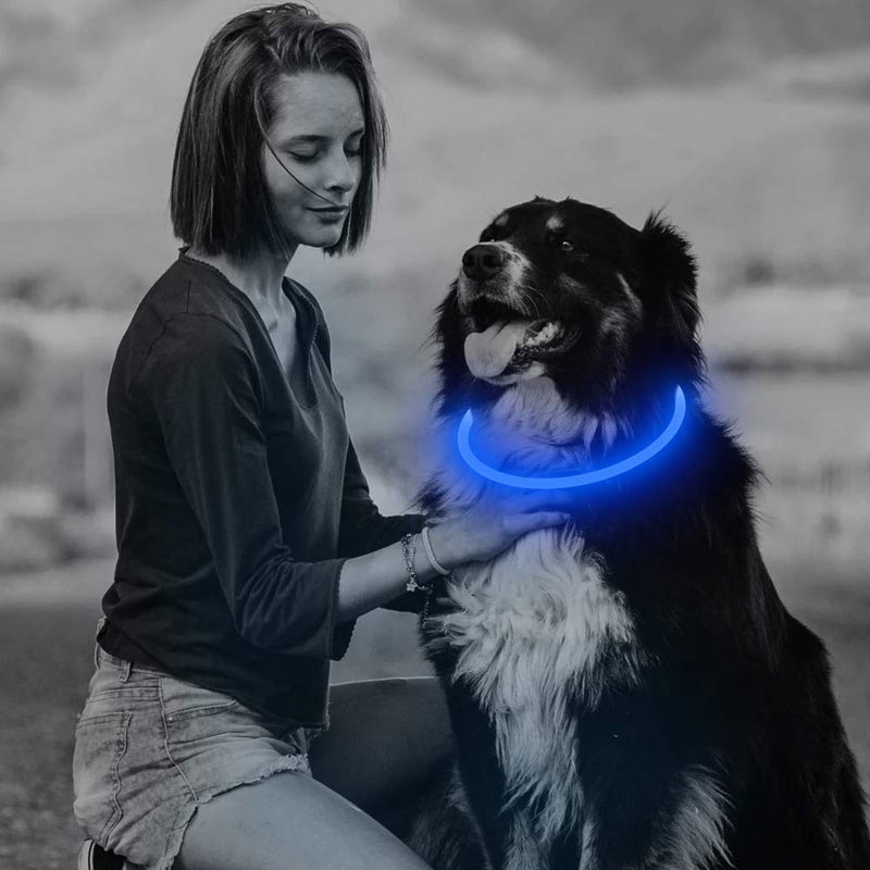 [Australia] - BSEEN LED Dog Collar, USB Rechargeable, Glowing Pet Dog Collar for Night Safety, Fashion Light up Collar for Small Medium Large dogs Blue 