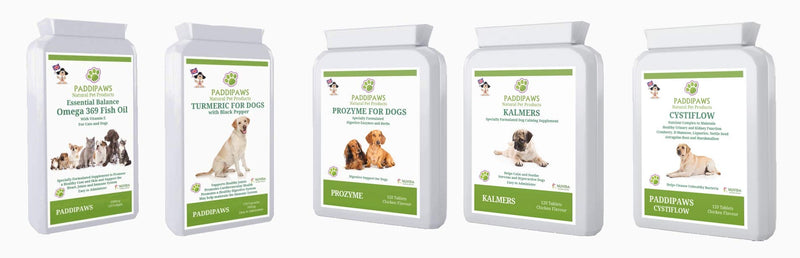 PADDIPAWS Petplex Active Bacteria supplement with added Digestive Enzymes and Prebiotics to provide the ultimate digestive aid and healthy gut bacteria Probiotic Supplement for Dogs and Cats - PawsPlanet Australia