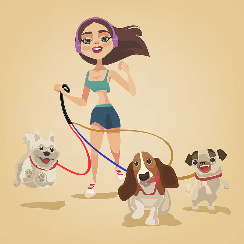 3-in-1 Dog Leashes, 3-Piece Dog Leash, 3-Way Dog Leash Splitter for Pets, Reflective, Removable, Padded, Adjustable, for 1,2 or 3 Dogs Colorful - PawsPlanet Australia
