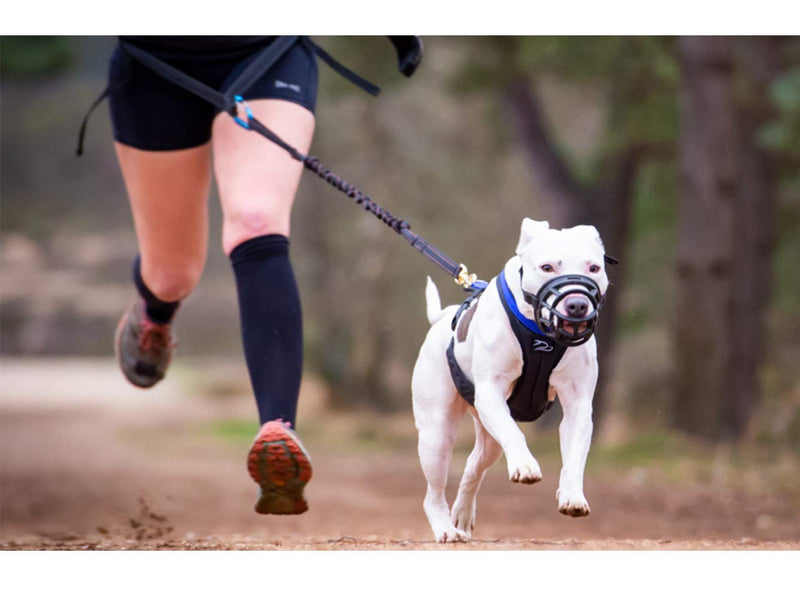 [Australia] - Mayerzon Dog Muzzle, Basket Breathable Silicone Dog Muzzle for Anti-Barking and Anti-Chewing Size1-7.8/2.7in Black 