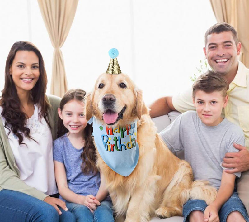 Blaoicni Dog Birthday Bandana Hat Scarf Party Supplies blue-boy - PawsPlanet Australia