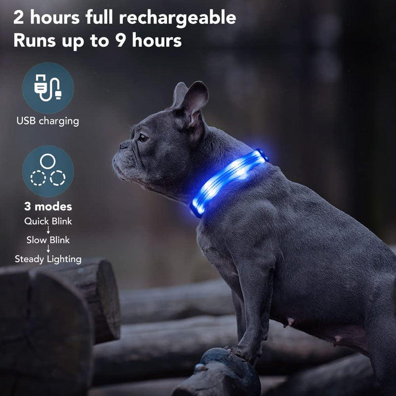 PZRLit Dog Collar Luminous USB Rechargeable, LED Dog Light Collar for Small Medium Large Dogs, Safety When Running at Night, Blue Medium Blue - PawsPlanet Australia