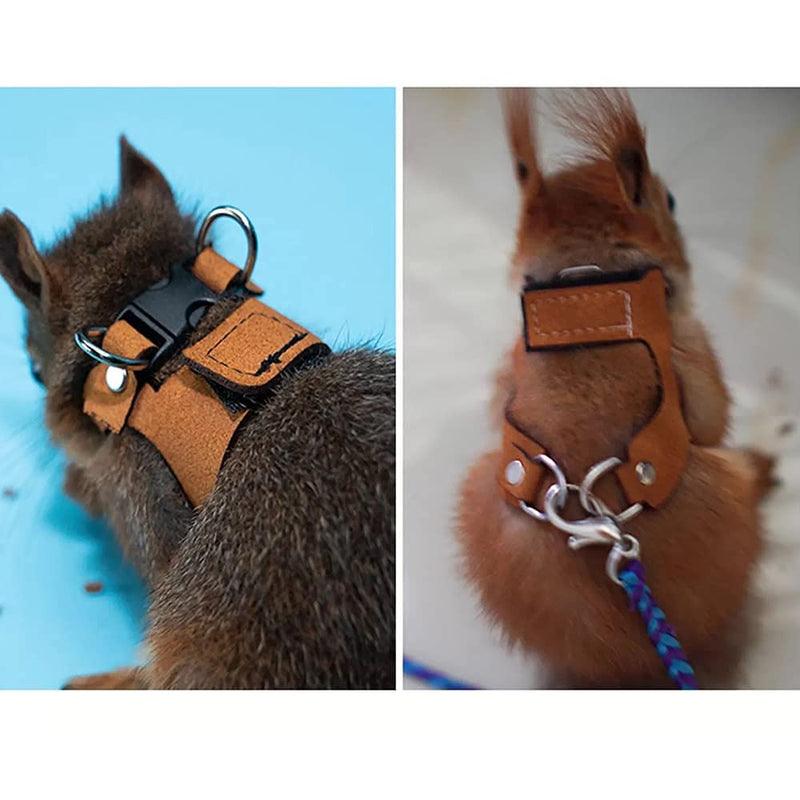 Grey Squirrel Comfort Vest Traction Rope with Soft Material Harness and Leash for Squirrels(Brown and Purple) - PawsPlanet Australia