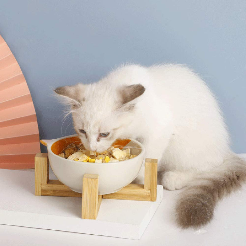 Ceramic Elevated Raised Cat Bowl, Ceramic Cat Bowl with Wood Stand, No Spill Pet Food Water Feeder, for Cats and Small Dogs - PawsPlanet Australia