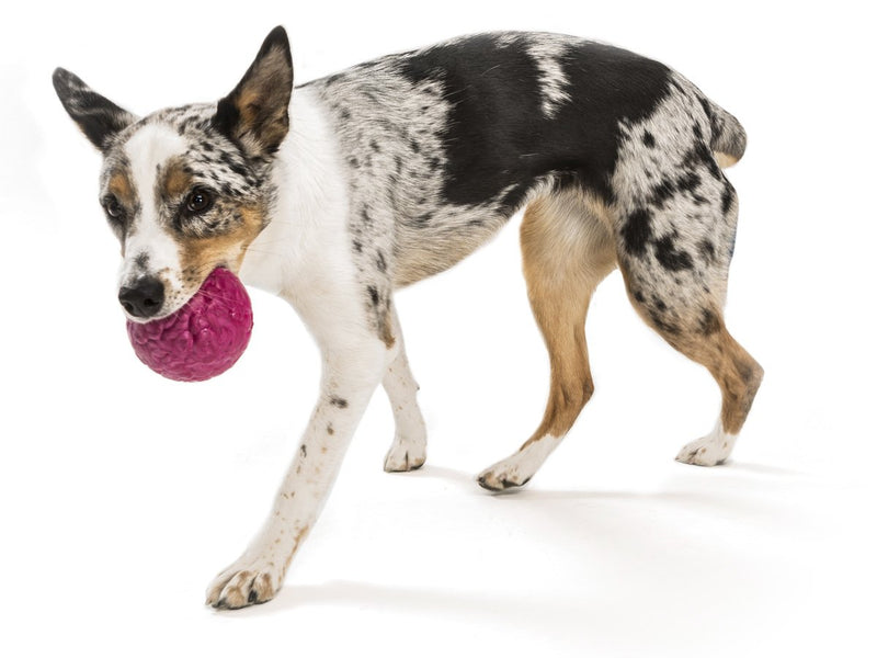 [Australia] - West Paw Zogoflex Air Boz Dog Toy – Floatable Pet Ball for Dogs, Fetch, Play, Chewing – Non-Toxic, Recyclable, Latex-Free Canine Toys – Durable Exterior Texture, Bouncy Squishy Ball, Made in USA Small Currant 