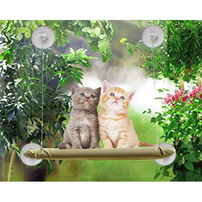 [Australia] - ZALALOVA Cat Bed, Cat Window Perch Window Seat Hammock Cats Kitty Space Saving Suction Cups Design with 1Pc Cat Toy 2Pcs Extra Replaceable Suction Cups All Around 360¡ã Sunbath Holds Up to 50lbs 2Pack 