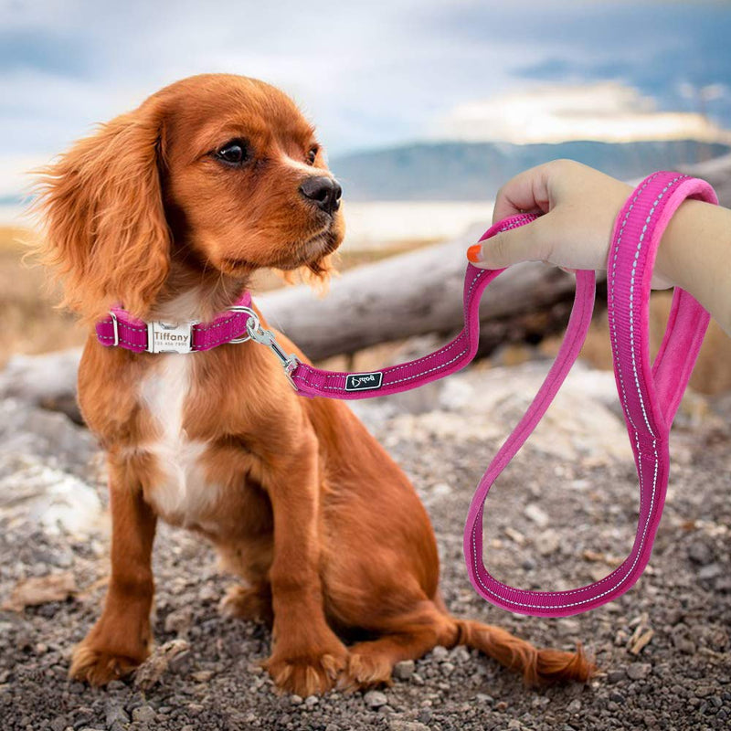 [Australia] - Didog Dog Walking Leashes 4 FT Long with Soft Warm Flannel Padded Handle, Reflective Dog Leash Night Safety Fit Small Medium Dogs, Black/Hot Pink/Blue Hot Pink 