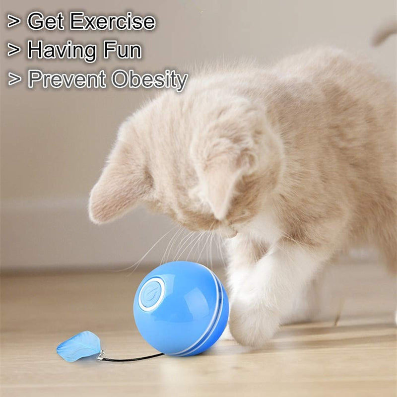 Interactive Cat/Dog Toys Ball Automatic Self Rotating Cat Toy Red & Colorful LED Cat Exercise Ball with Feather Bell and Catnip USB Rechargeable Kitten Toys Gifts for Cats/Dogs Newest Version (Blue) Blue - PawsPlanet Australia