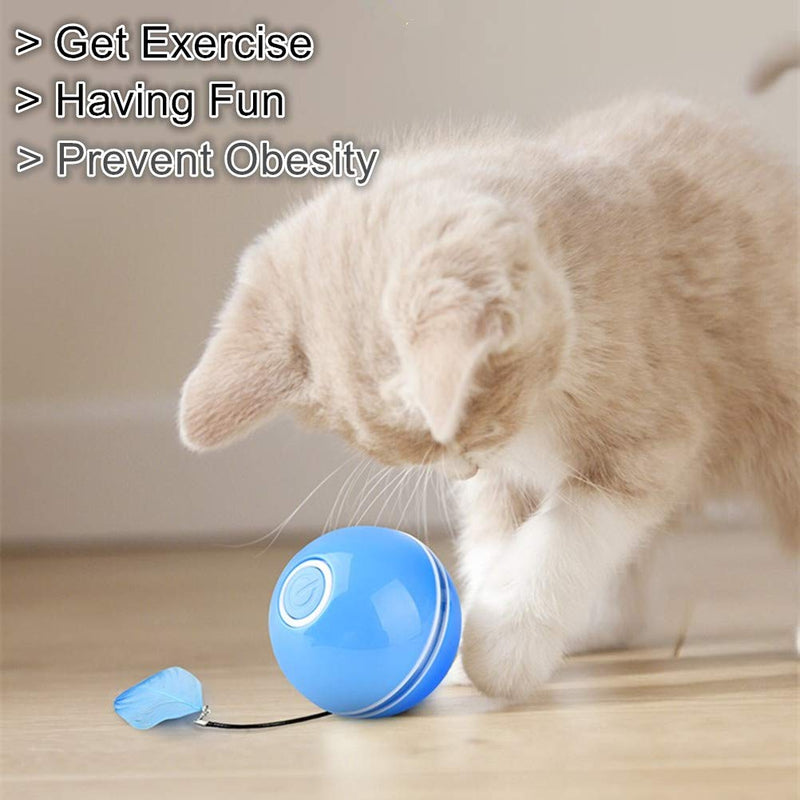 Interactive Cat/Dog Toy Ball Self Rotating Cat Ball with LED Light & Catnip,Ring Bell Feather Toy,Rolling Spinning Smart Pet Toys,USB Rechargeable Ball for Cats/Dog Kitty Funny Chaser(Blue) Blue - PawsPlanet Australia