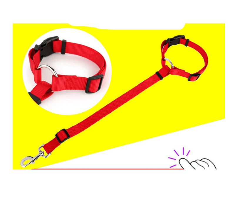 4.9 Feet Nylon Dog Leash-With Metal Hook, 360 Degree Rotating Bolt, Snap Buckle Pet Leash (Red) - PawsPlanet Australia