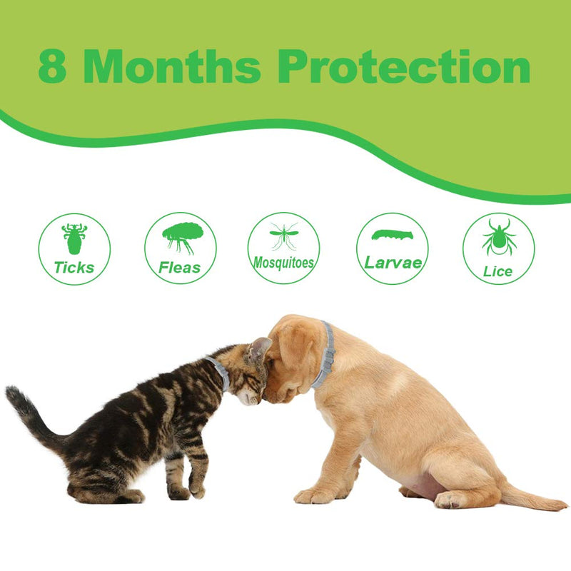 HOMIMP Cat Flea Collar 8 Months Protection - Flea Tick Treatment for Cats Kittens Puppies 41cm - PawsPlanet Australia
